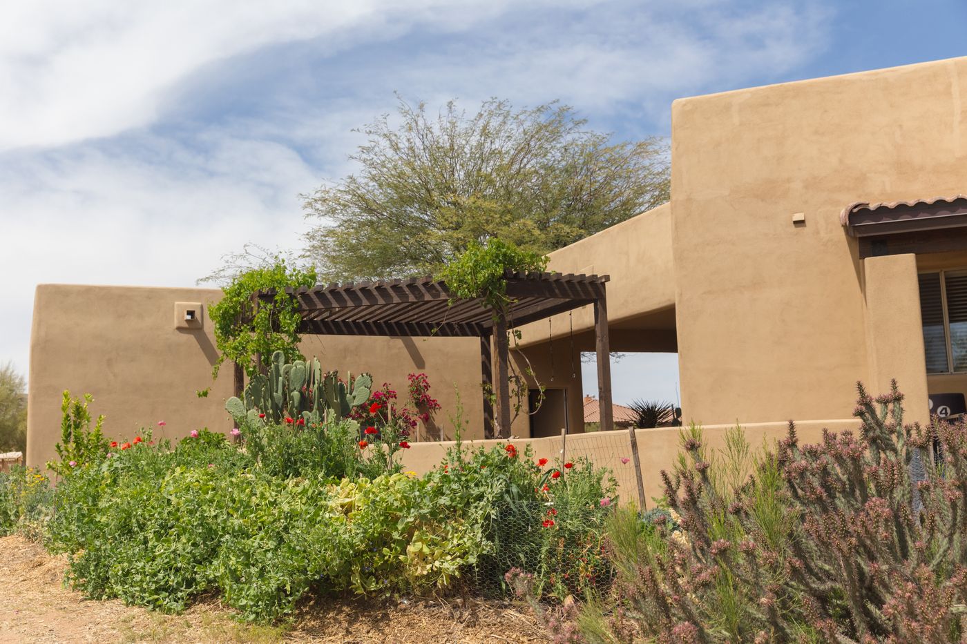 Stucco Southwestern home with a desert garden in the Catalina Foothills area north of Tucson