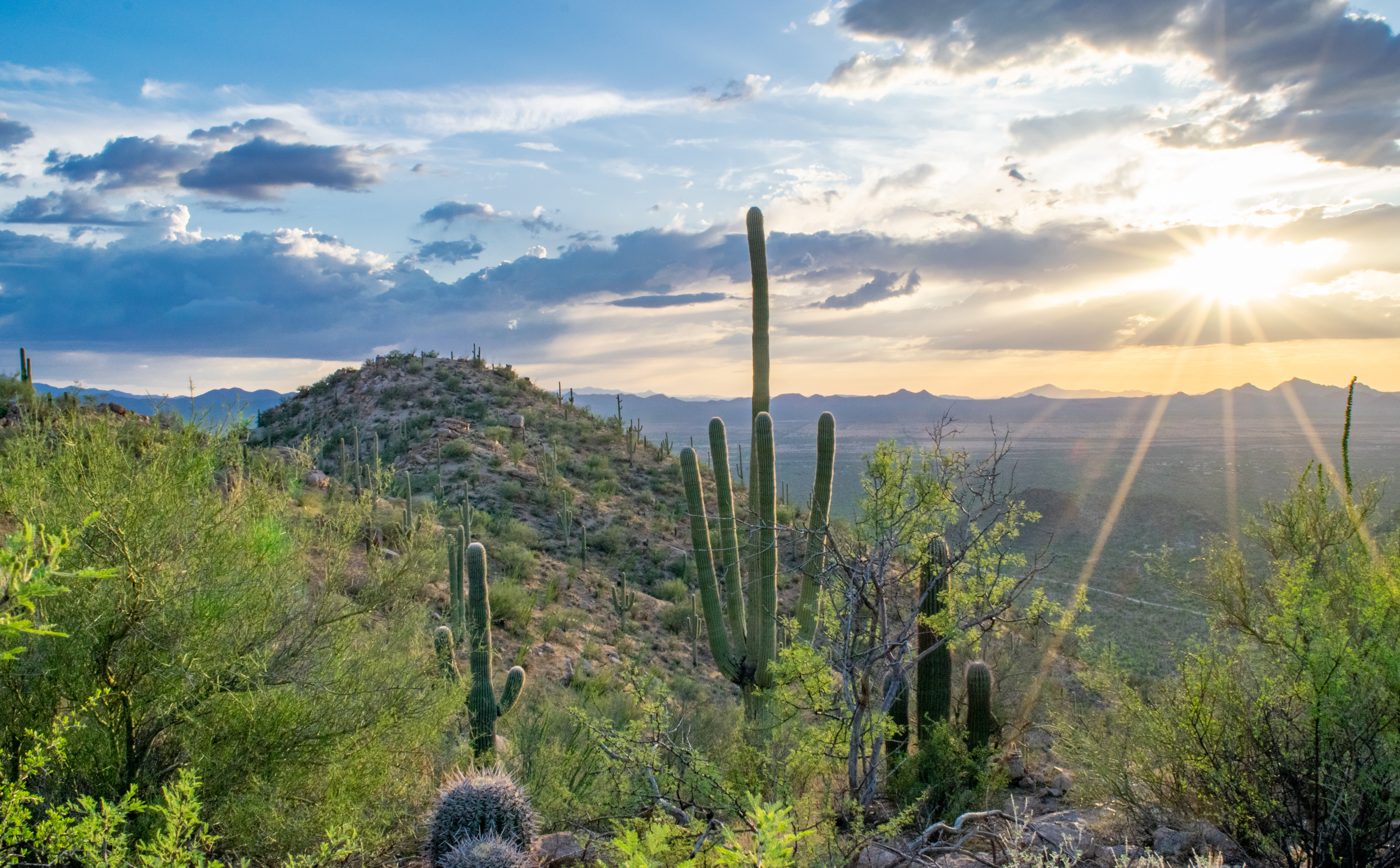 Tucson winter home for snowbirds